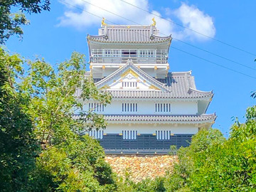 岐阜城には戦争を経験した刀剣も！