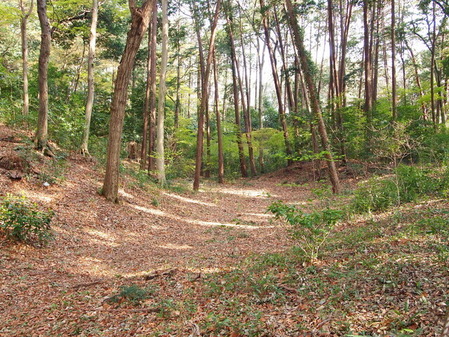 94_石神井城 土塁と空濠
