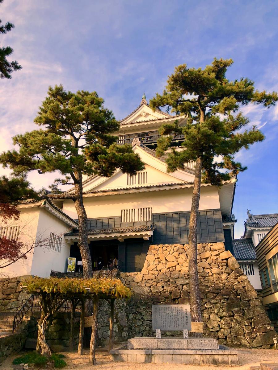 岡崎城（龍城）