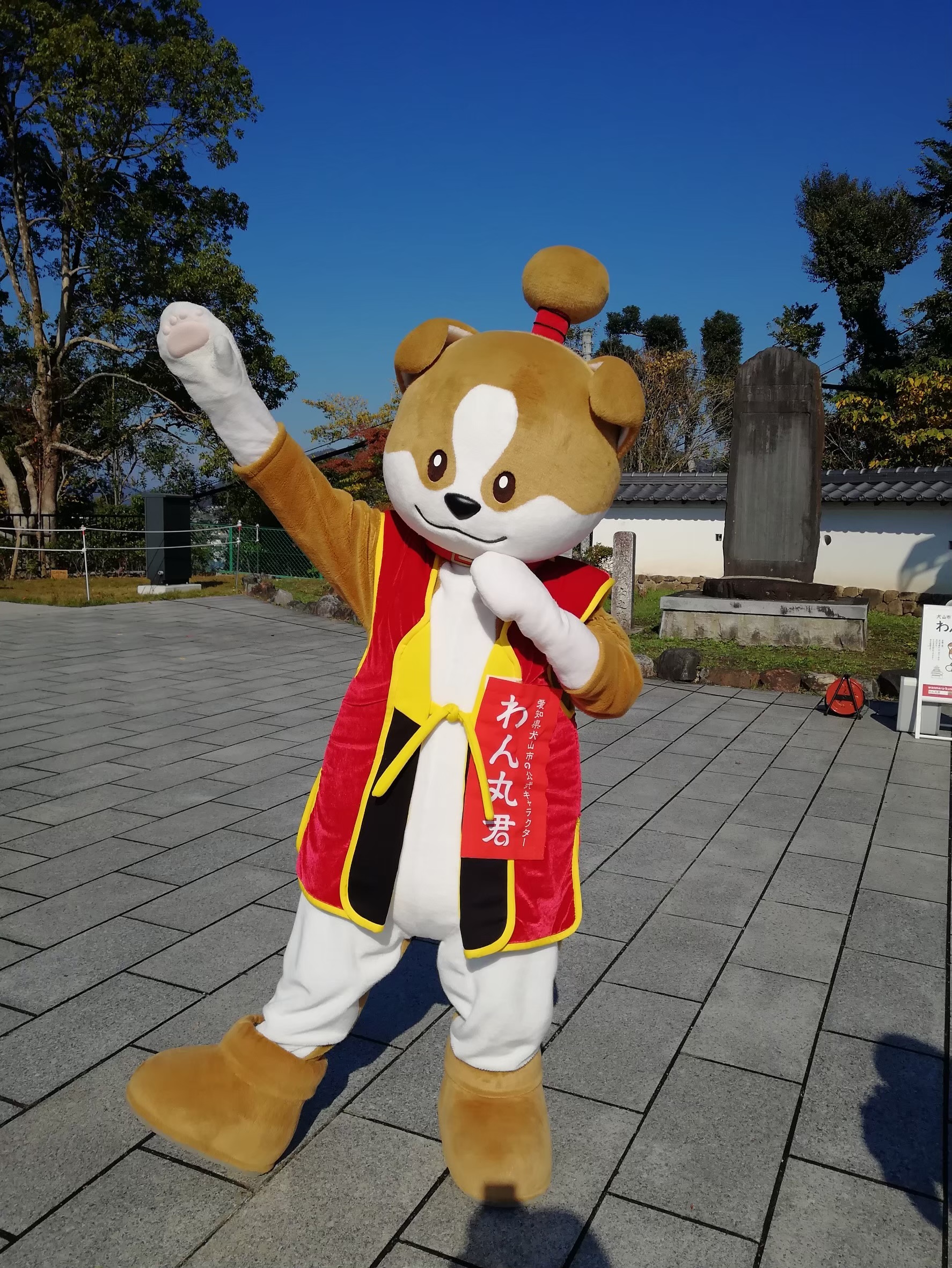 意外と背が高いわん丸君