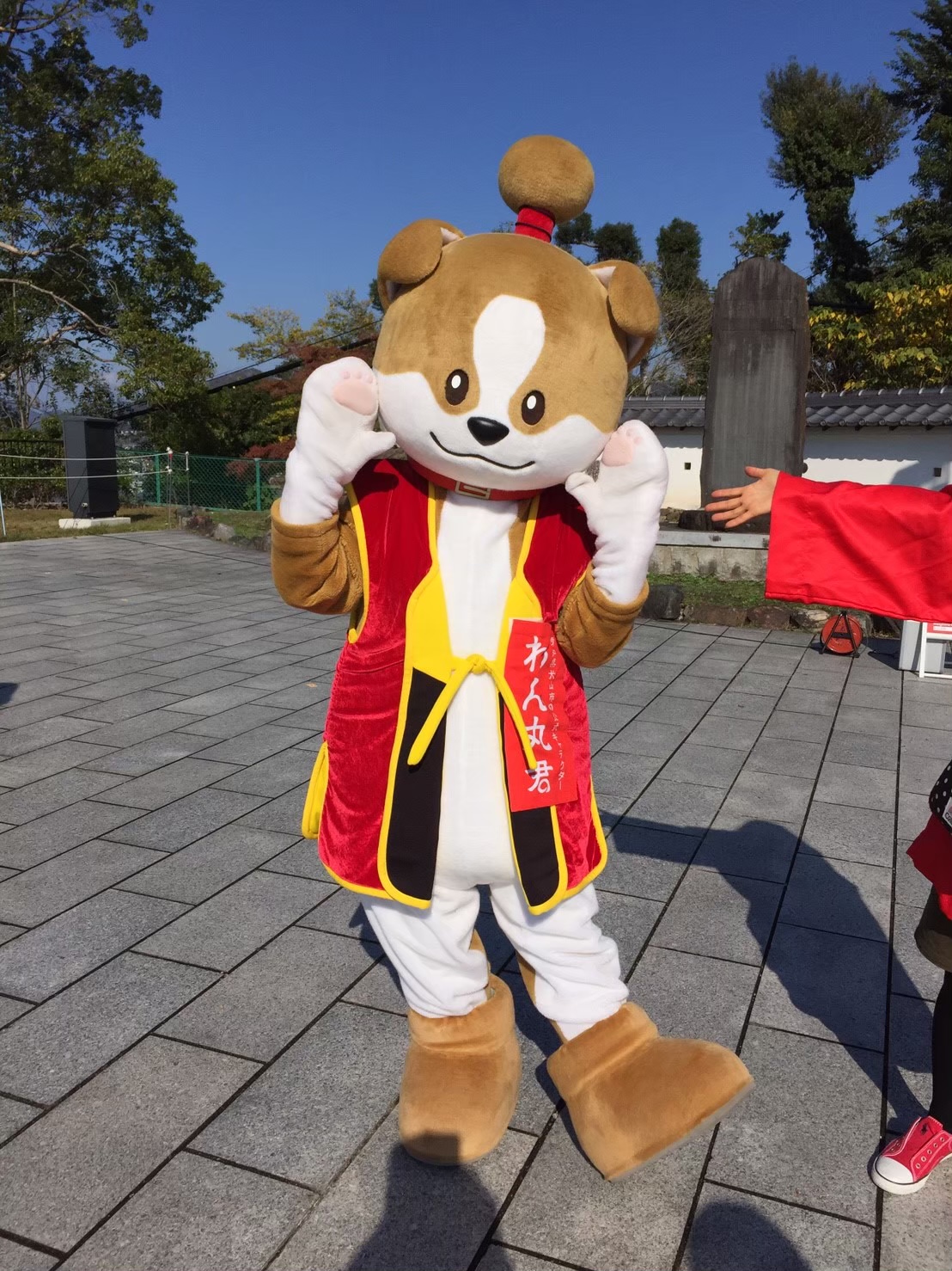 永遠の10才…わん丸君
