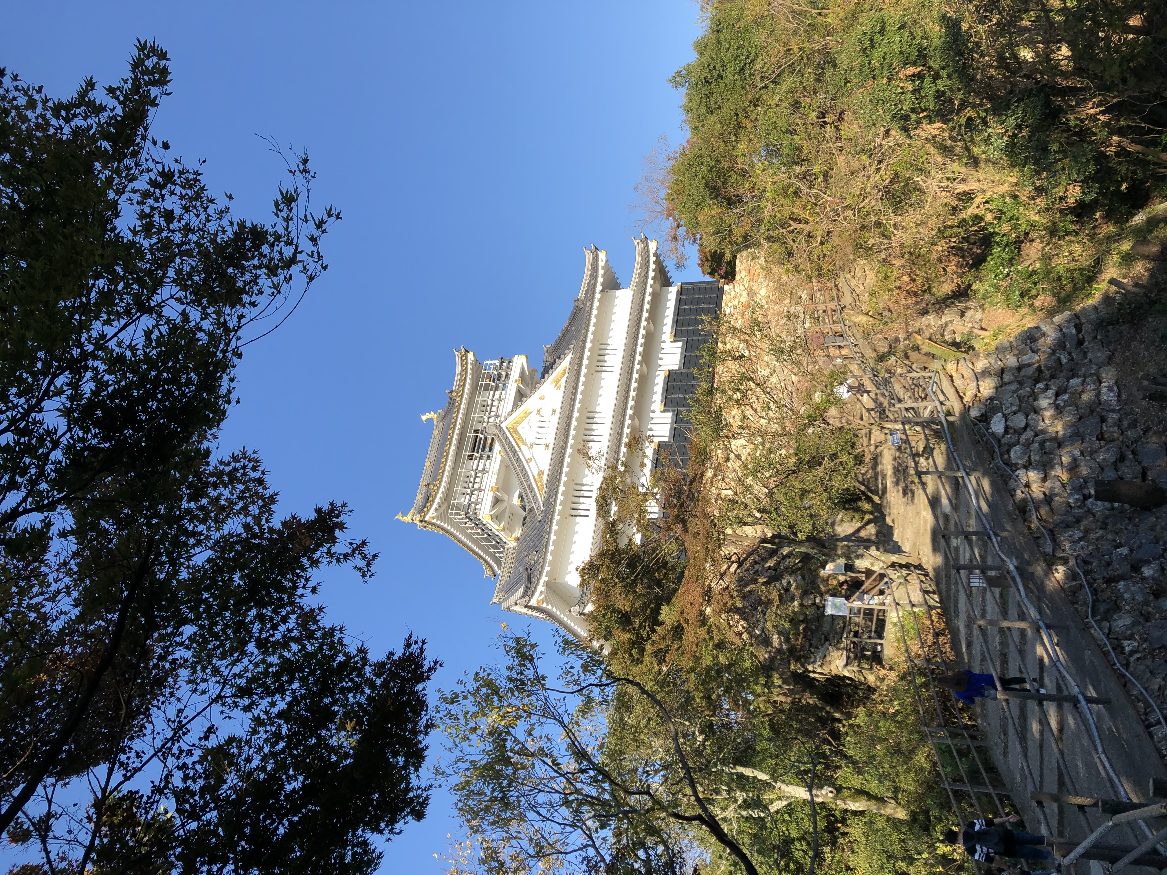 岐阜市のシンボル岐阜城