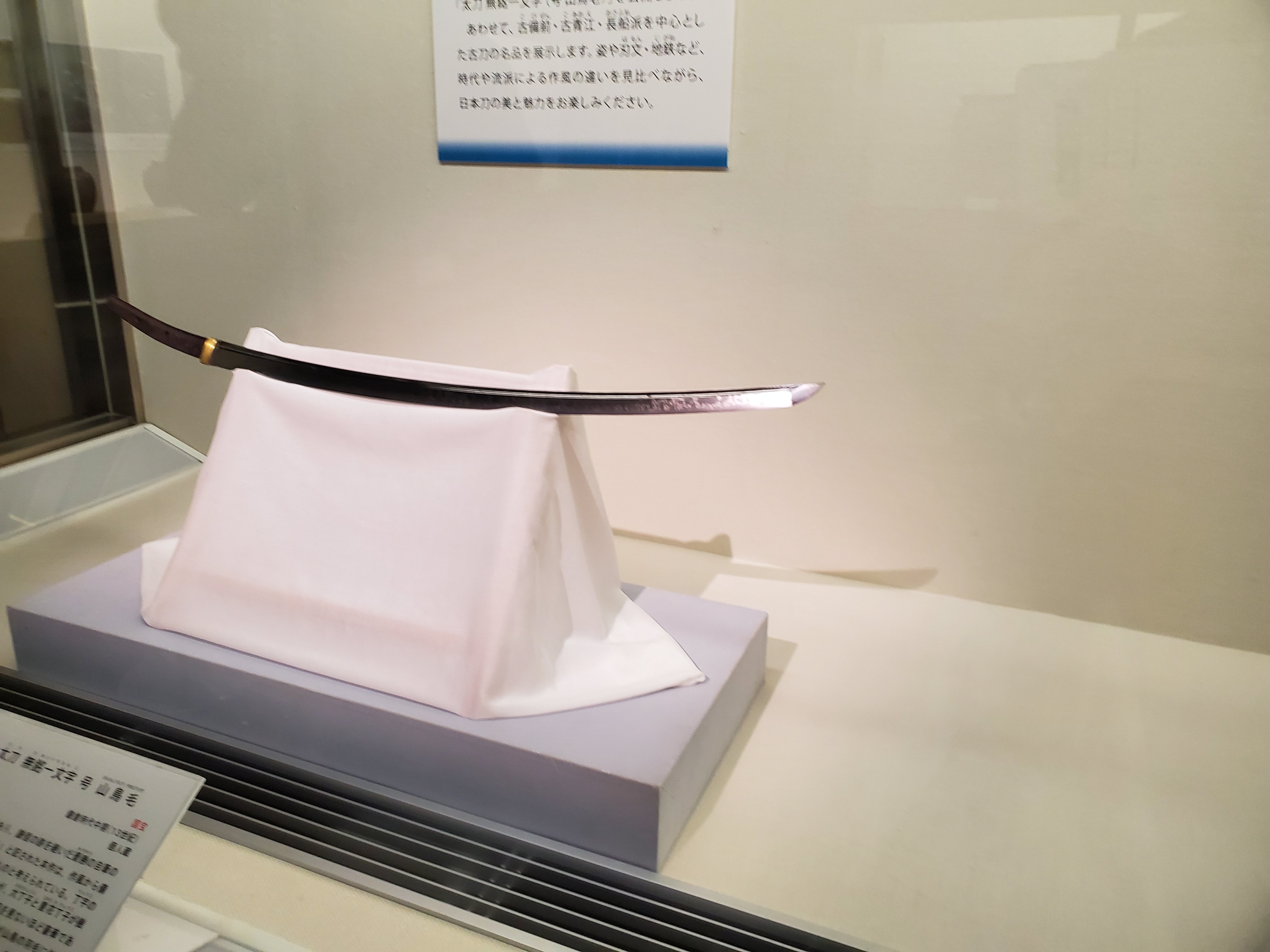 山鳥毛のお里帰りお披露目の